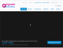 Tablet Screenshot of erguvanambalaj.com